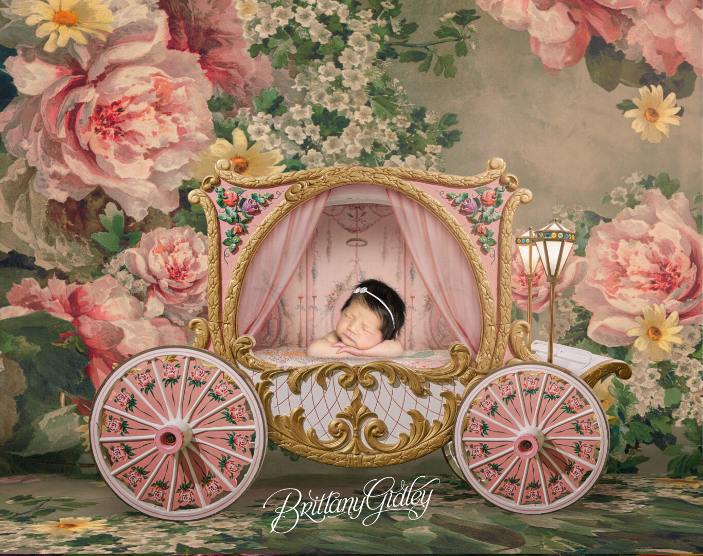 Floral Princess Carriage Newborn Photography