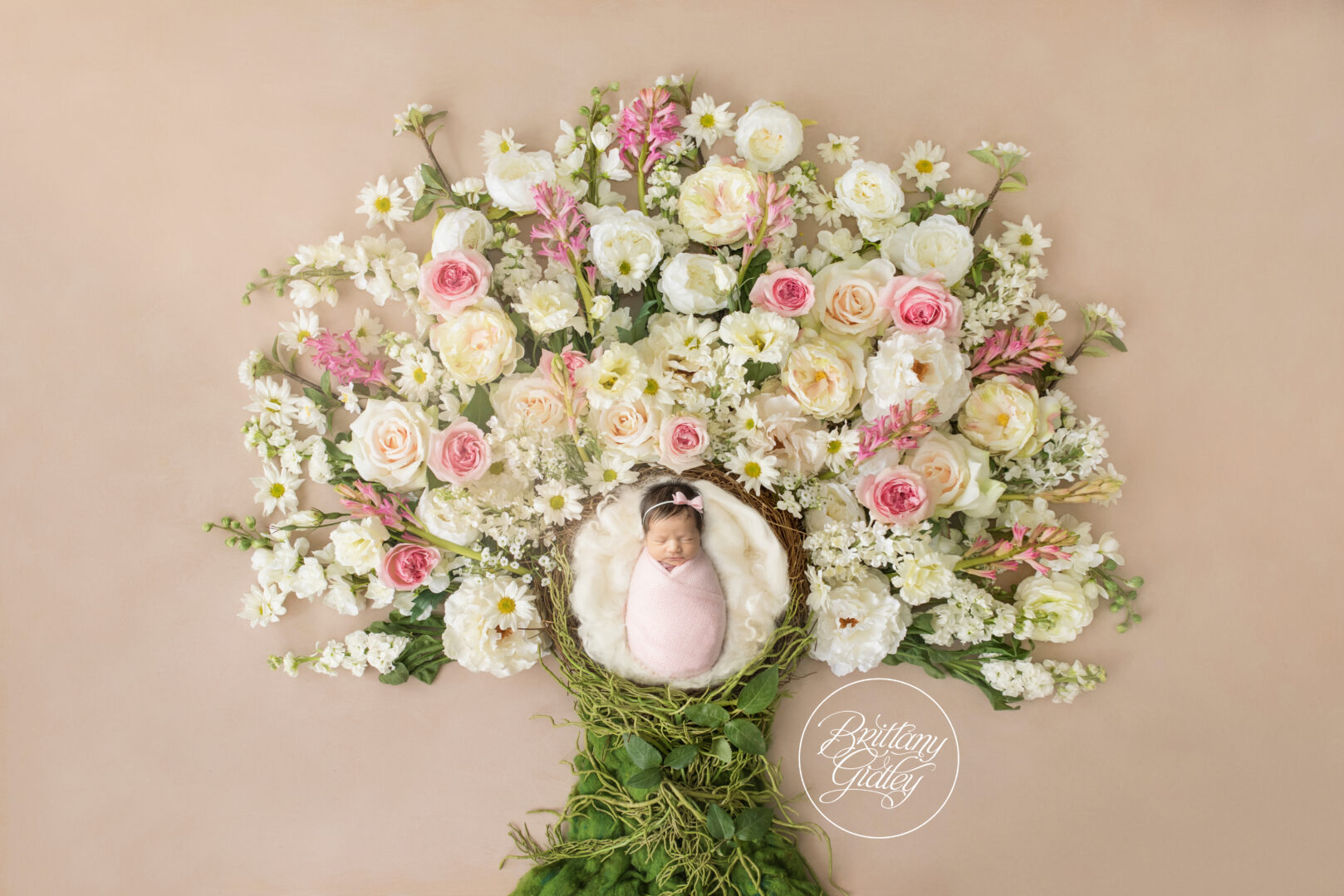Newborn Baby Girl Flower Tree