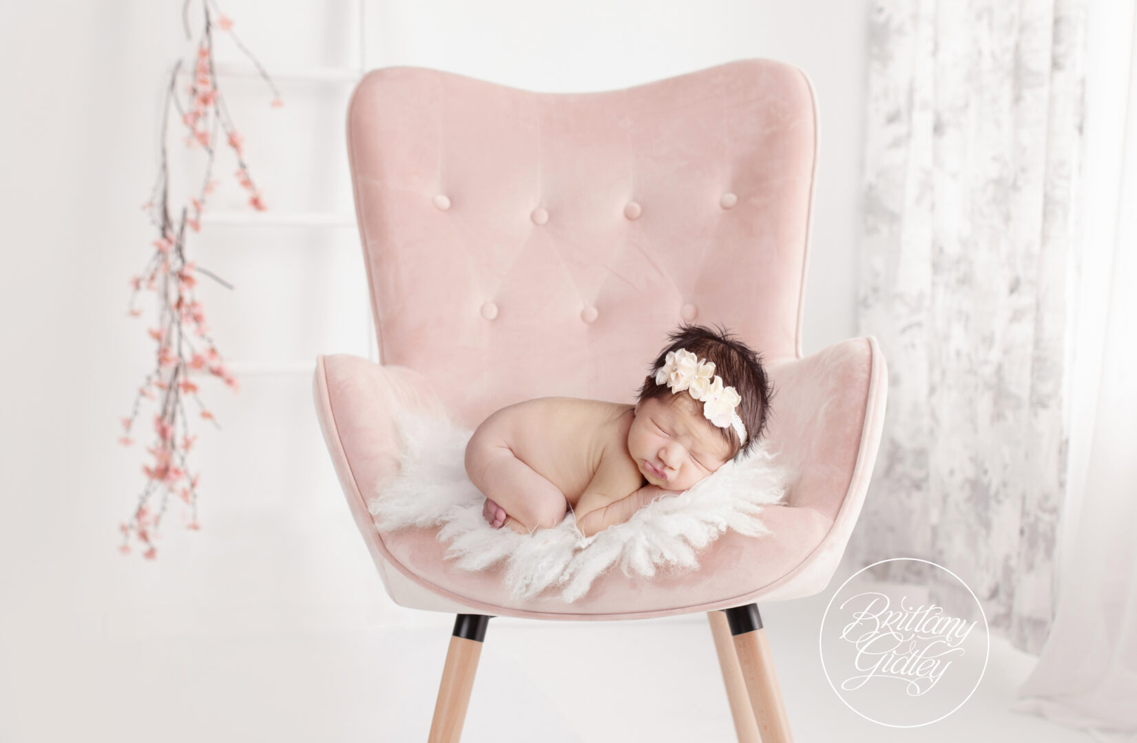 Newborn Dream Session