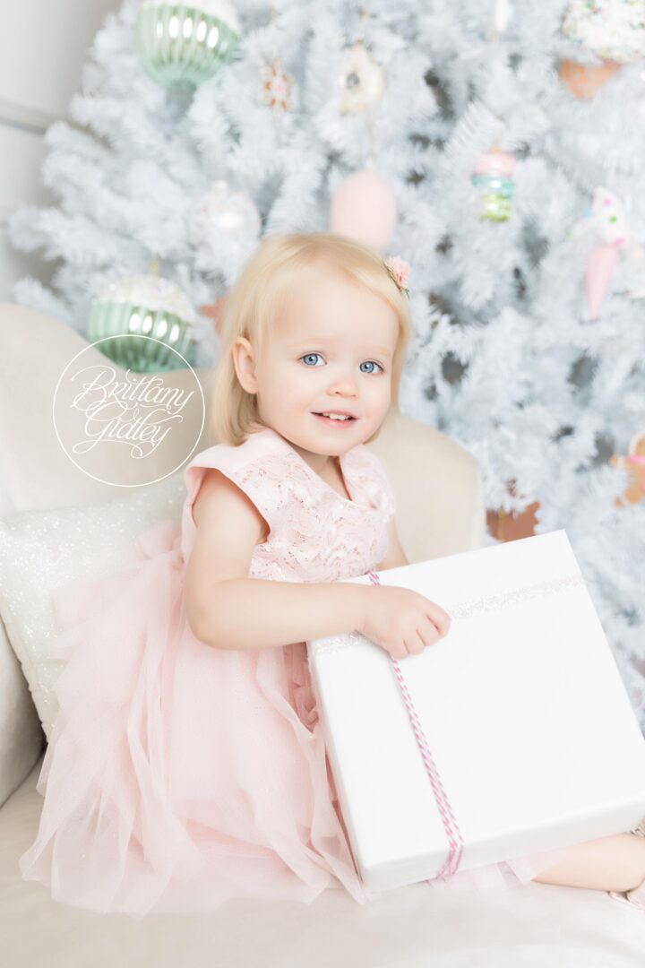 Photography Pastel Christmas