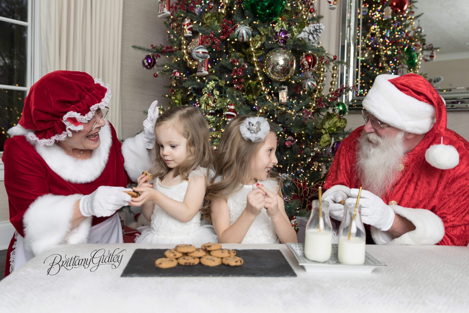 Milk and Cookies With Santa Photo Shoot-min