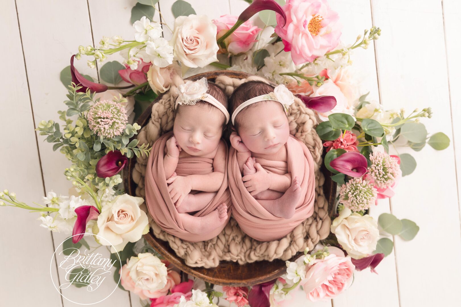 Twin Babies