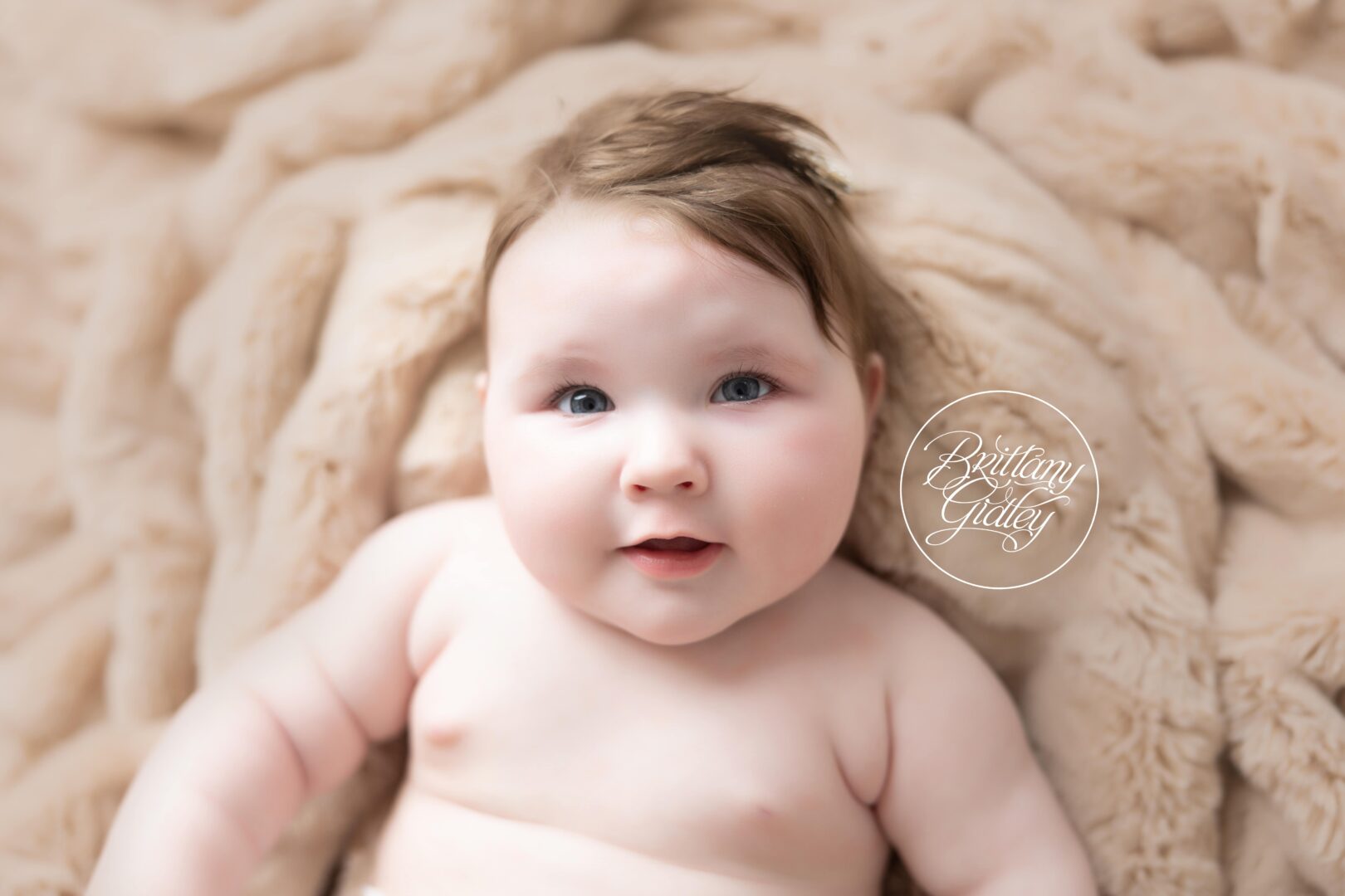 6 Month Old Baby Photographer