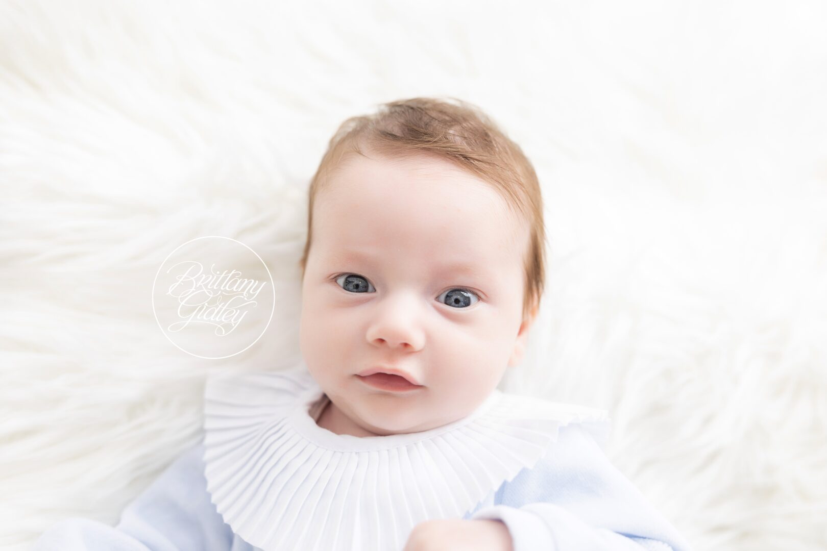 Baby Photography 2 Months Old