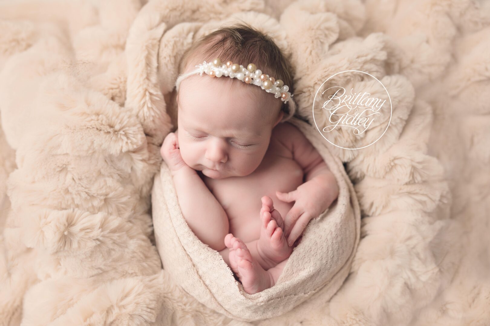 Brittany Gidley Newborn Photographer