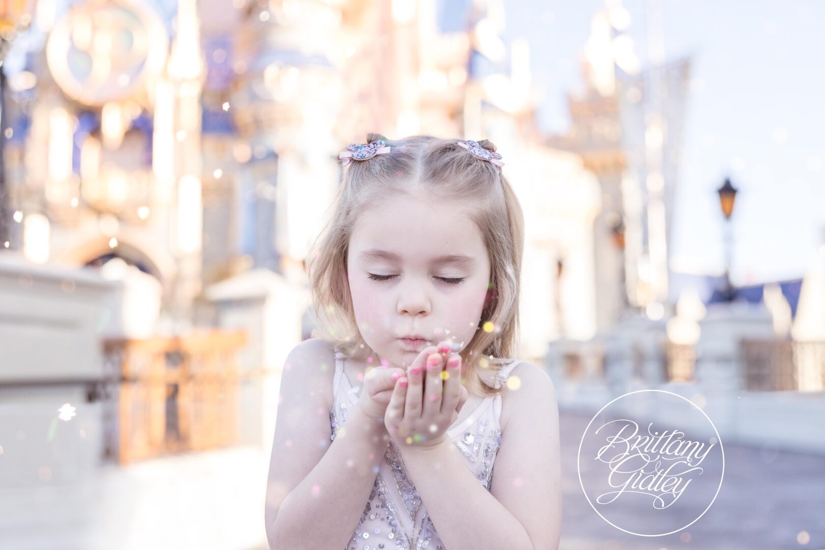 Cinderella Castle Photography