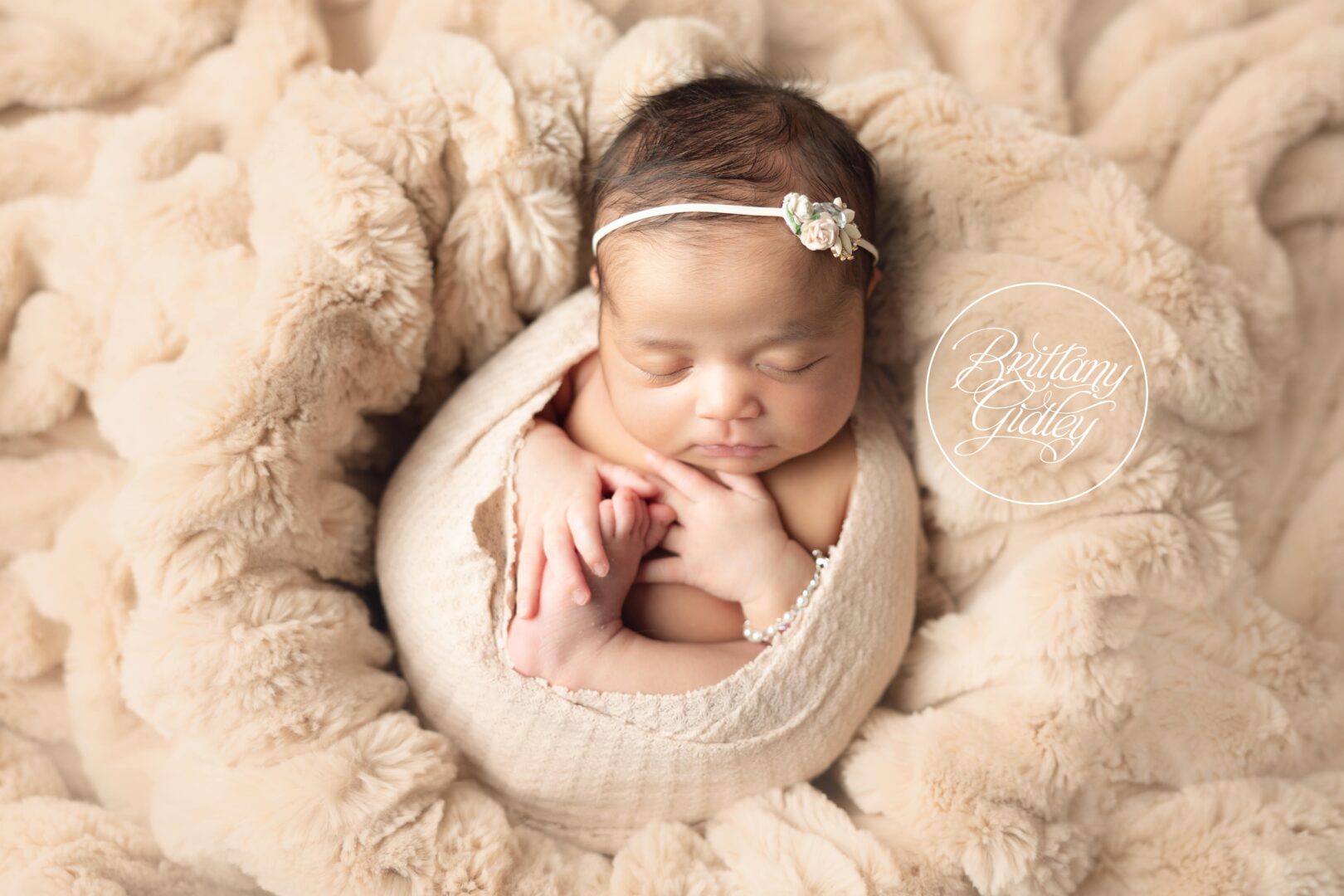 Cleveland Ohio Photographer