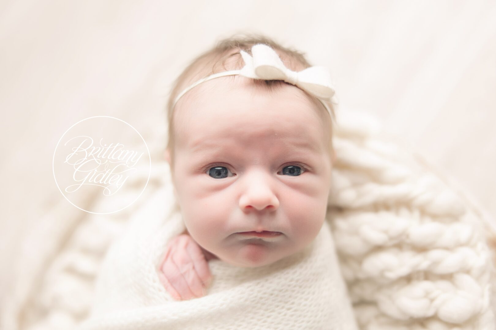 Ohio Newborn Studio Portraits
