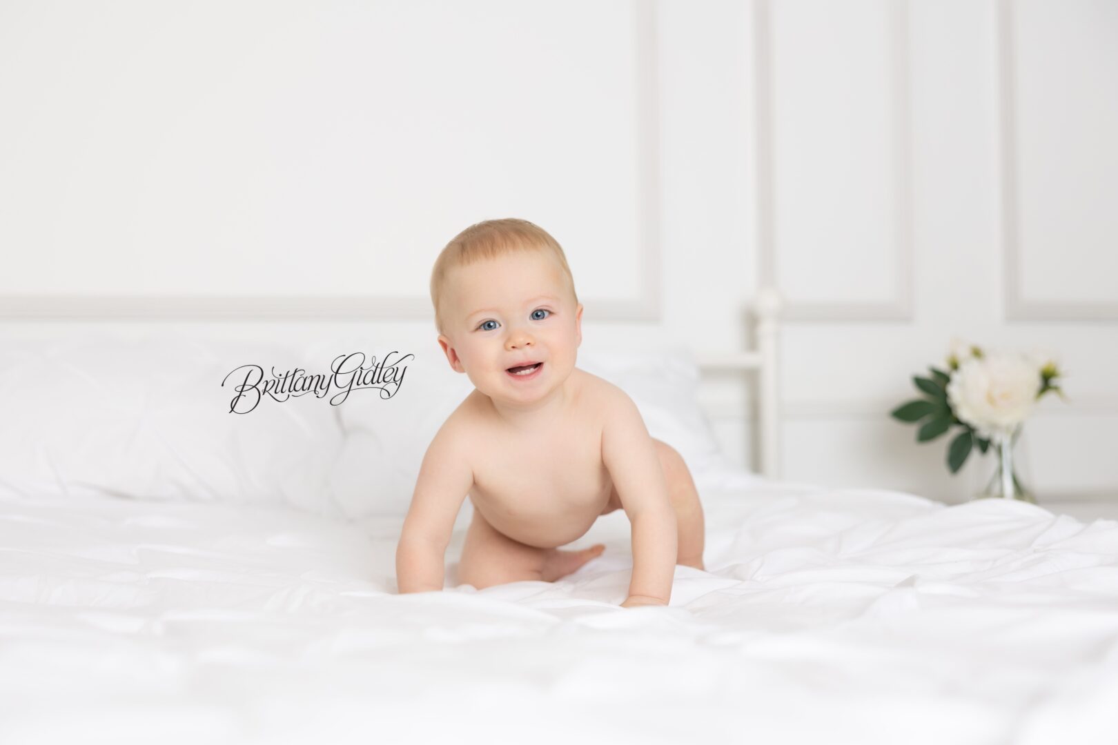 One Year Photo Shoot