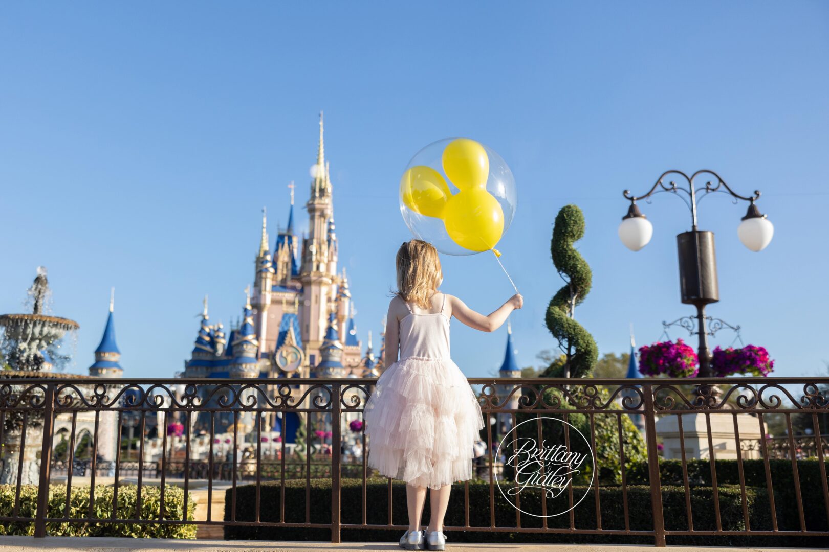 Walt Disney World Photographer