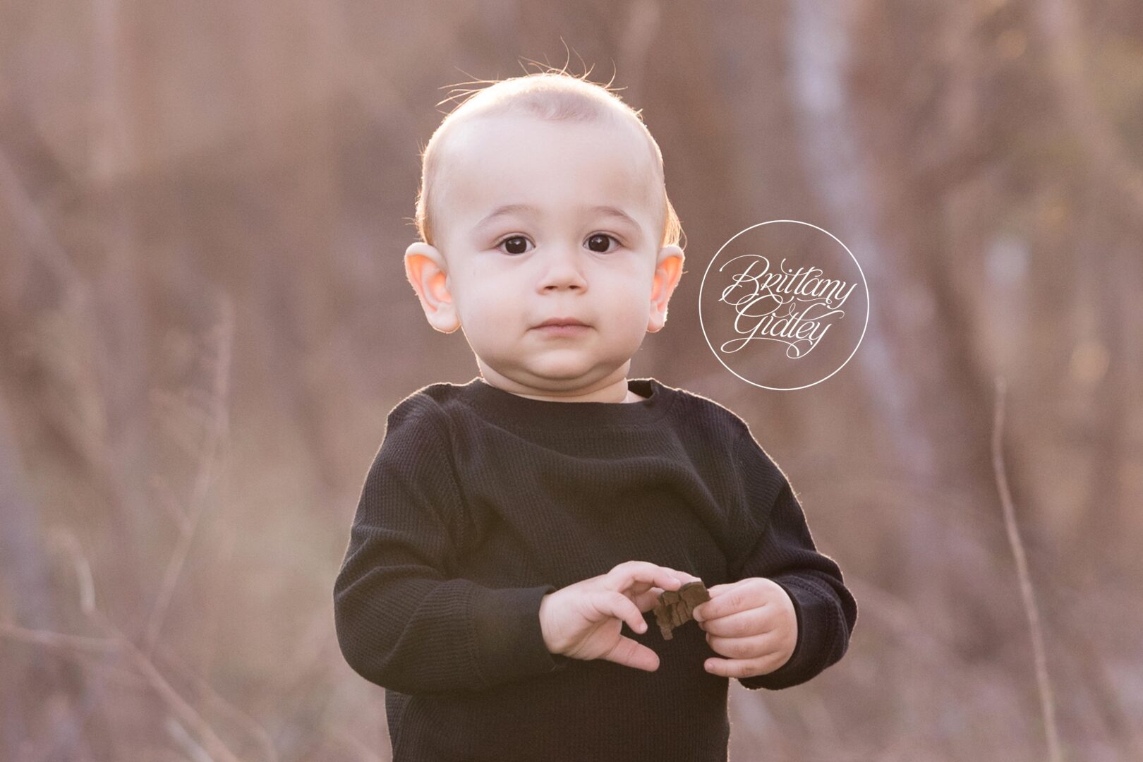 Everett Road Covered Bridge Baby Photography