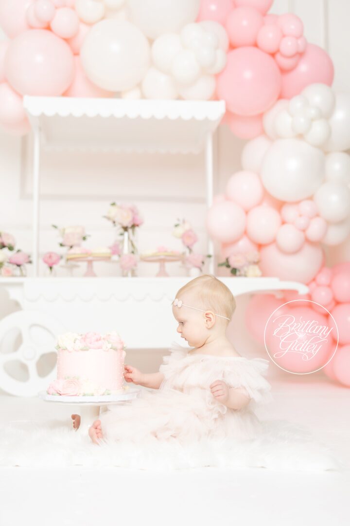 First Birthday Party Inspiration Pink | Bubbles and Blooms Dream Session
