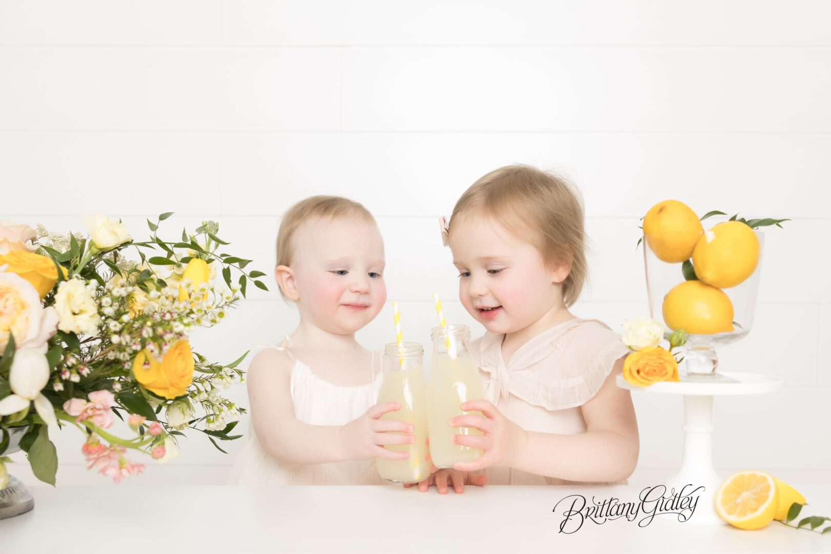 Lemonade Stand Photography