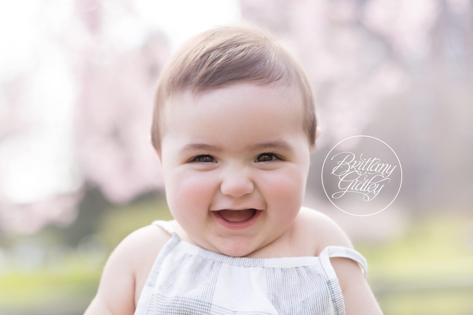 Baby Photo Shoot