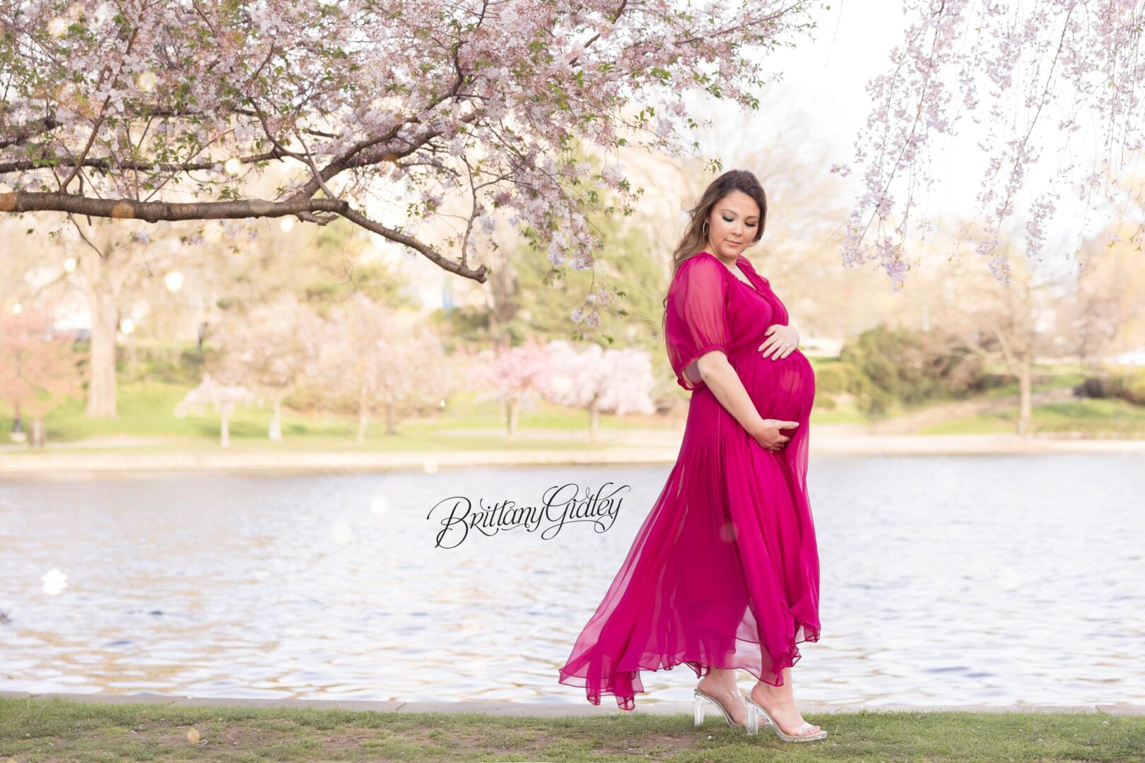Cherry Blossom Pregnancy Photographer