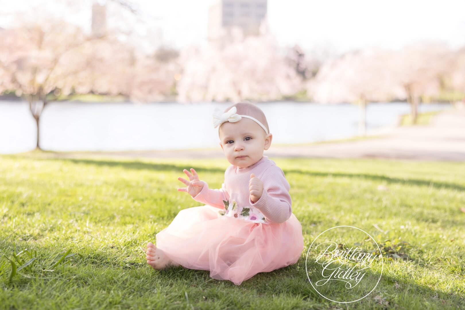 Cleveland Museum of Art Baby Photographer | Cherry Blossom Photography