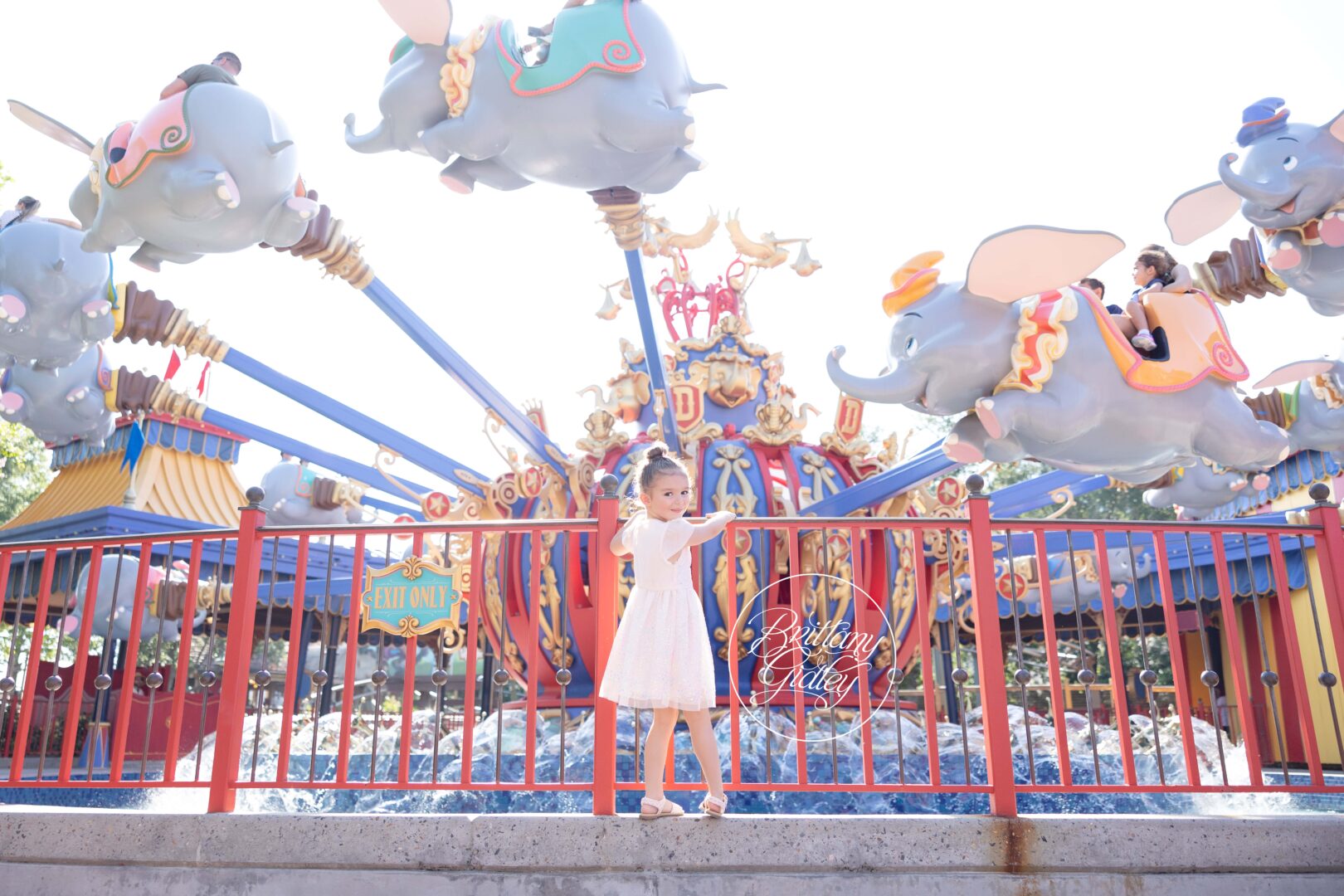 Dumbo Walt Disney World