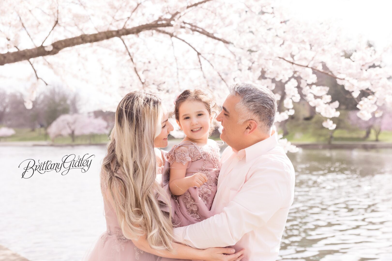 Family Photography Cherry Blossoms