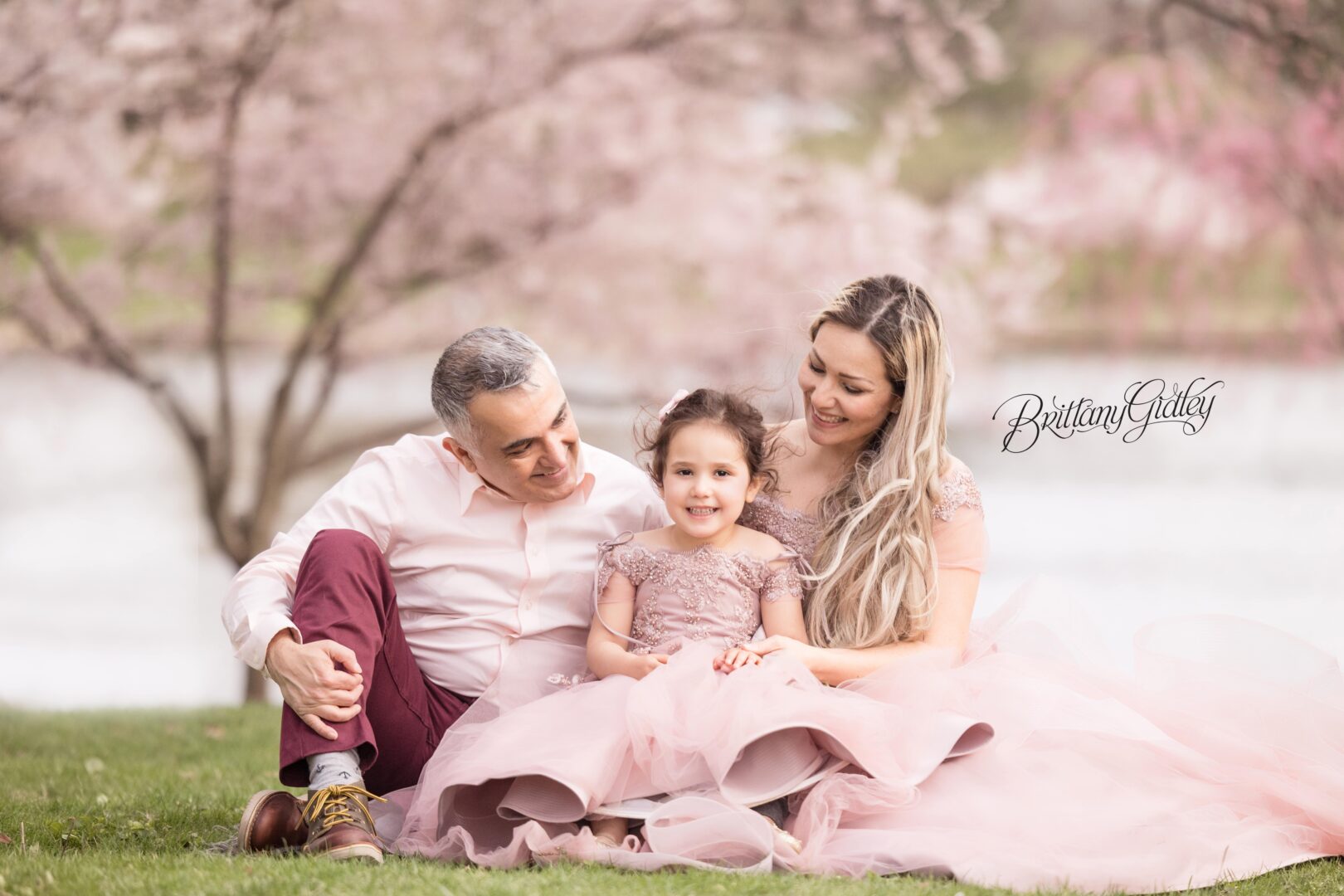 Family Photography in Cleveland Ohio Cherry Blossoms