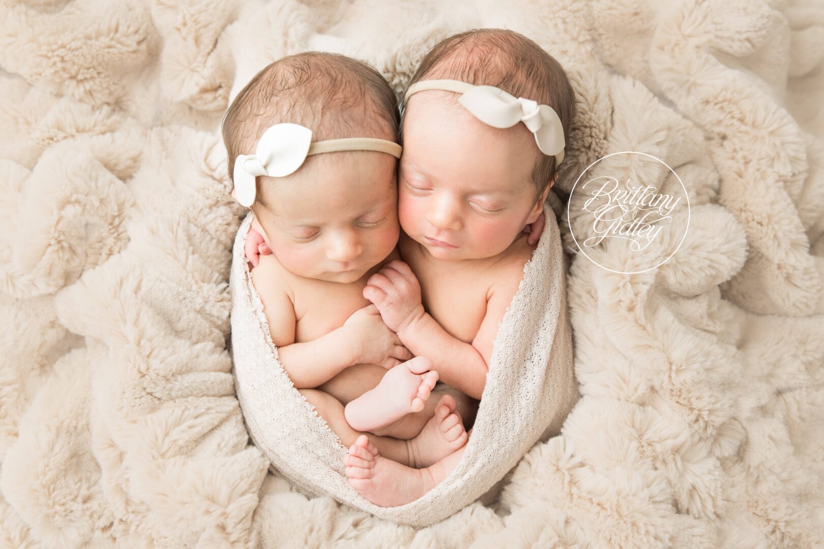 Ohio Twin Newborn Photographer
