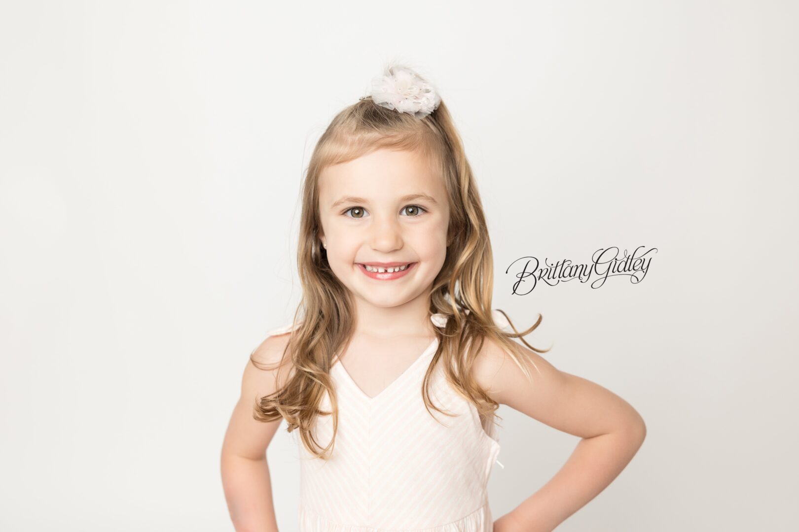 Toddler Photographer