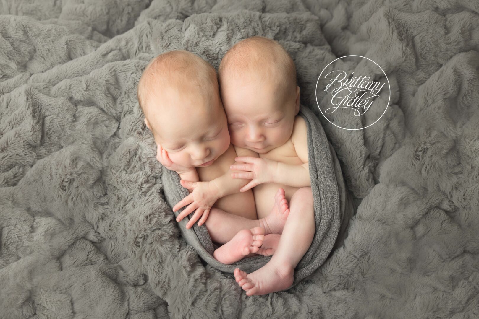 Twin Photo Shoot Newborn Babies