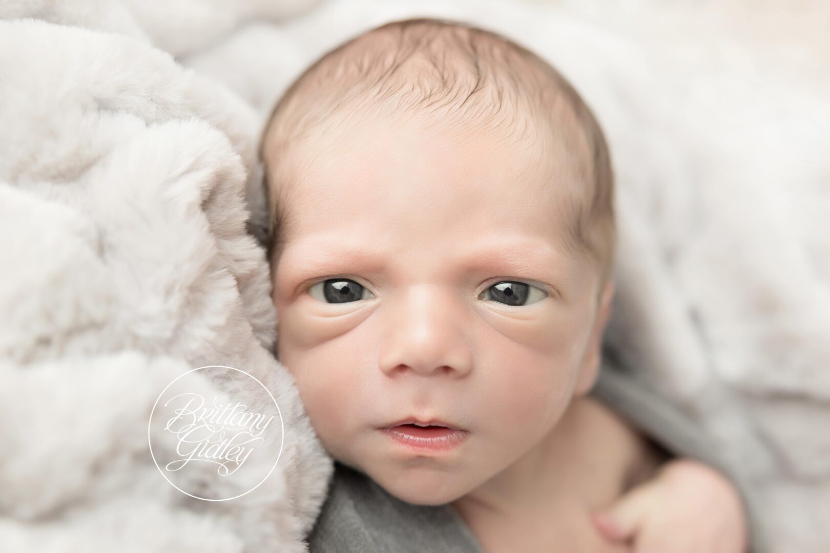 Wide Awake Newborn | Chagrin Falls Newborn Photography