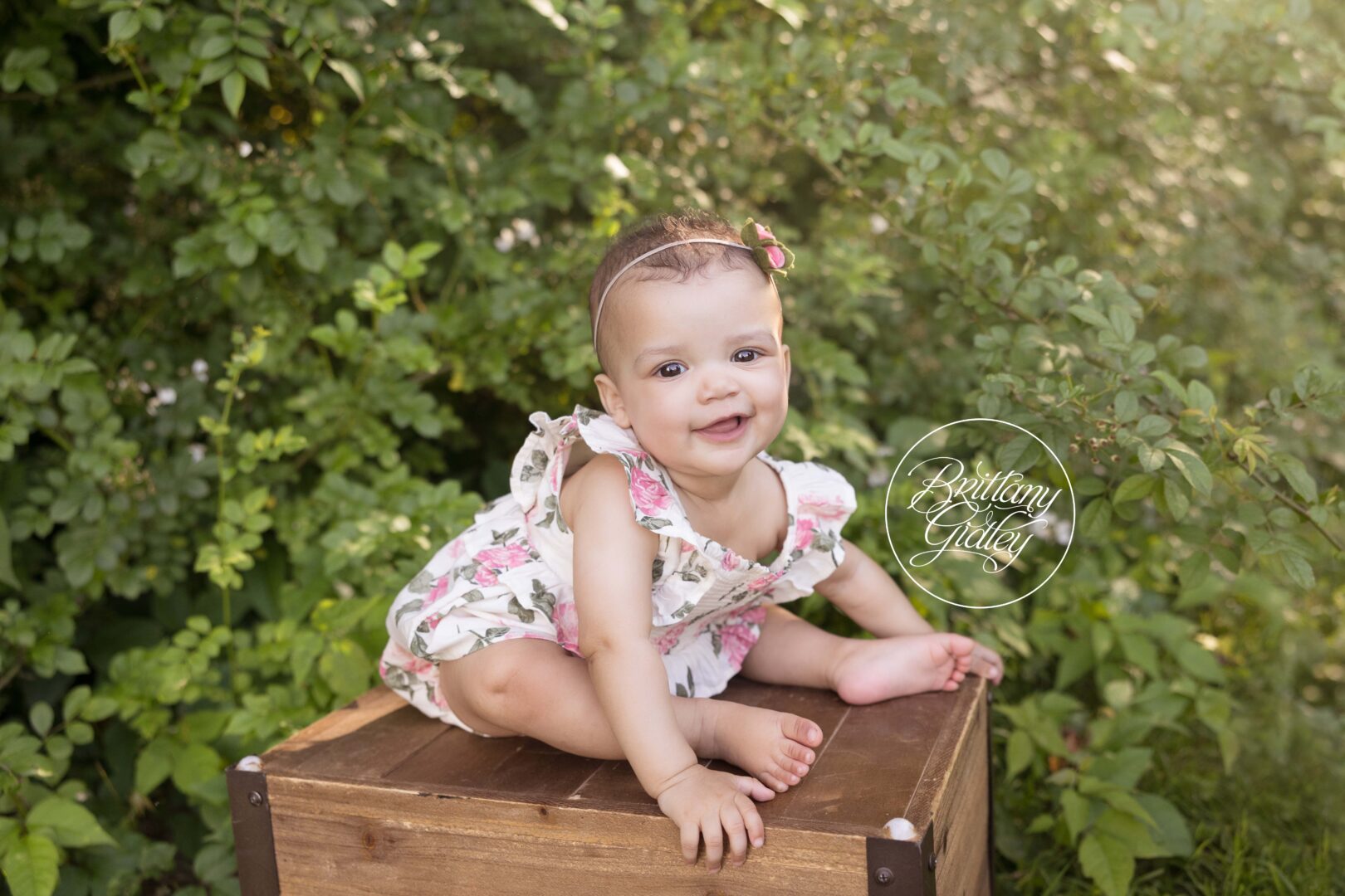 Baby Photography | Seven Hills Baby Photographer
