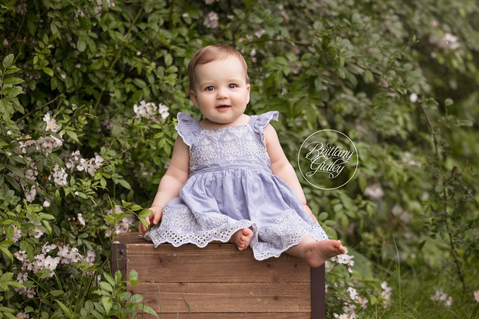 Brecksville Reservation Baby Photography