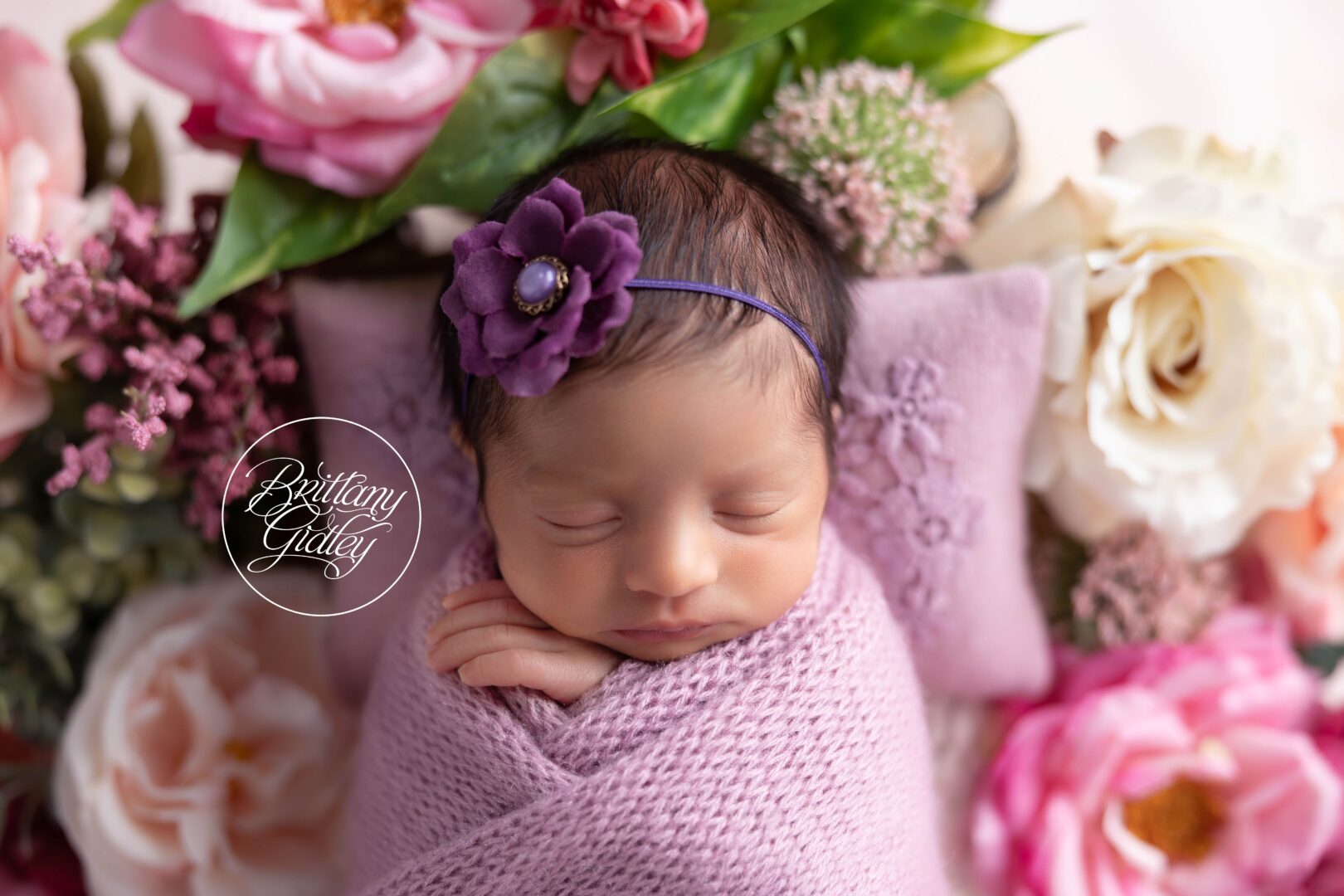 Newborn Baby Photography Studio Ohio | Newborn Girl Cleveland Photographer