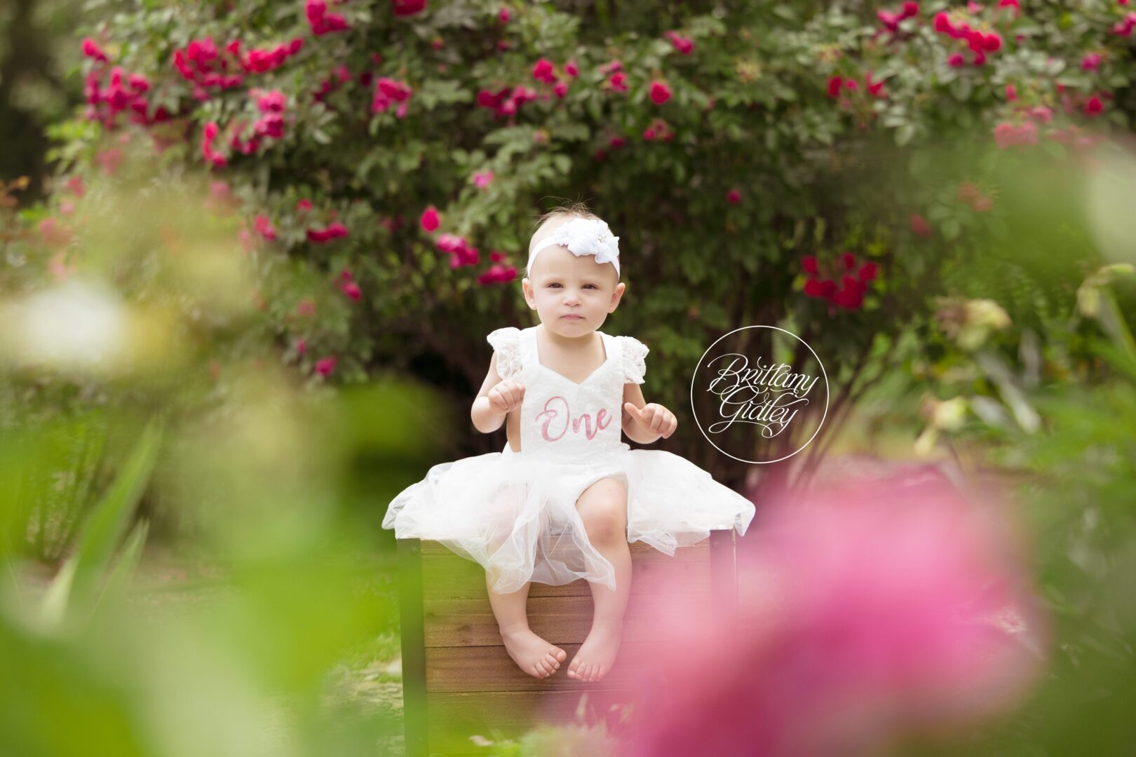 One Year Old Photography | Akron Family Photography