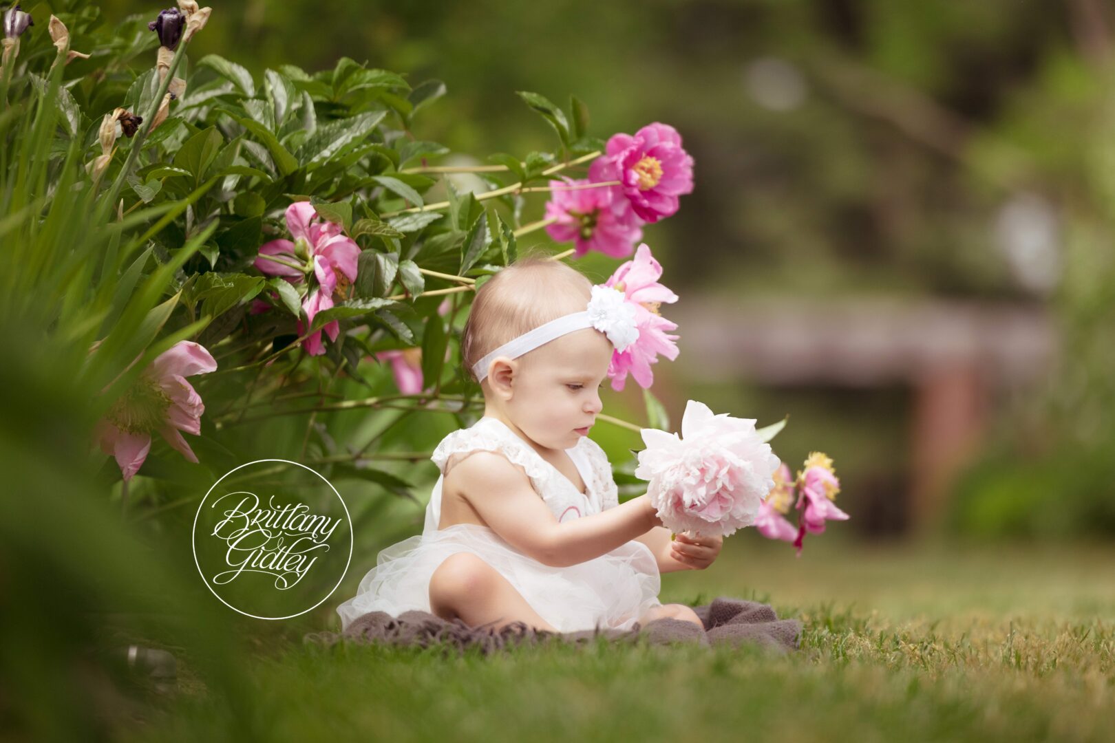 Stan Hywet Hall and Gardens Baby