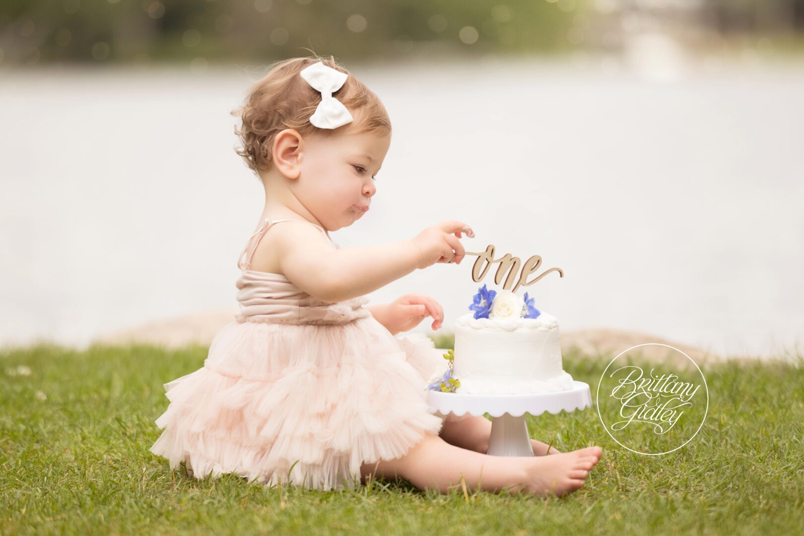 Cake Smash Eagle River Wisconsin
