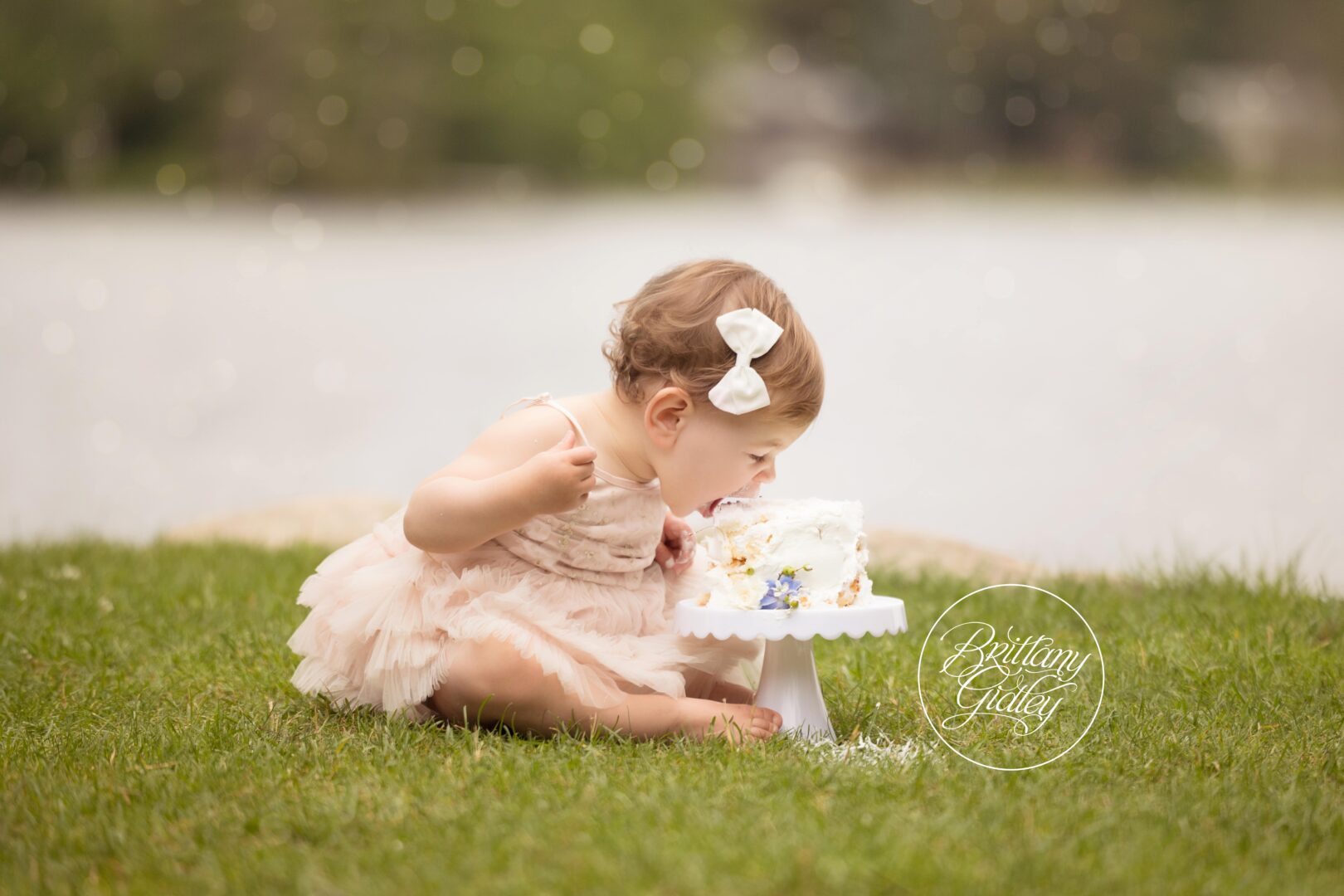 Eagle River Baby Photographer
