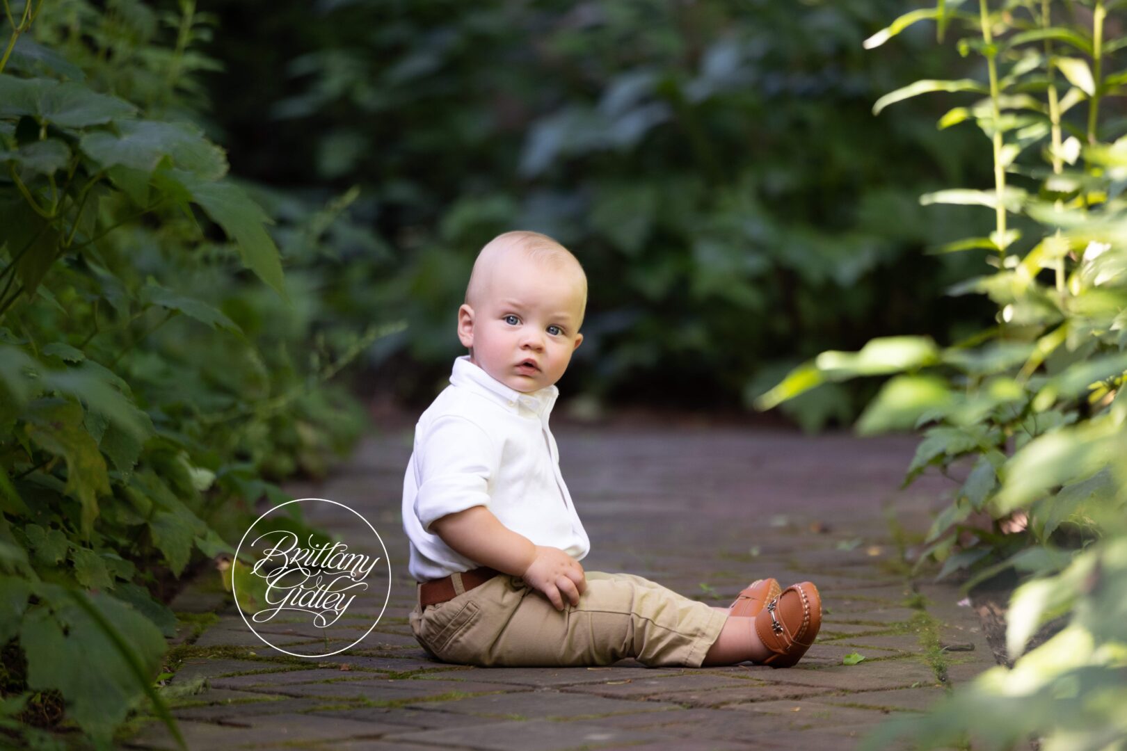 Baby Photographer | Akron Ohio Photography