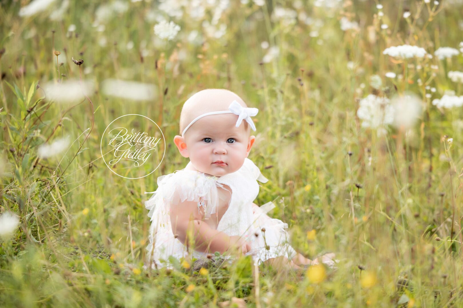 Baby Photography Northeast Ohio