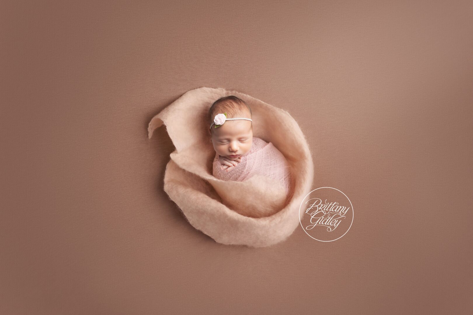 Best Erie Baby Photographer