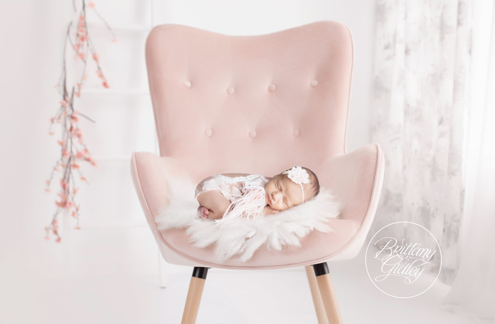 Best Erie Newborn Photographer