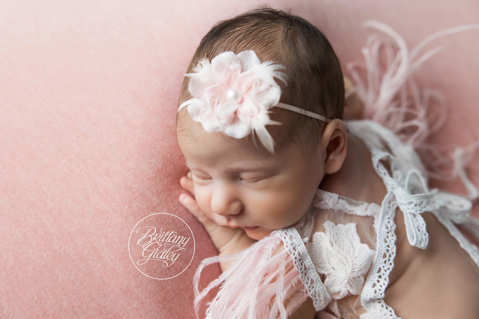 Best Erie Newborn