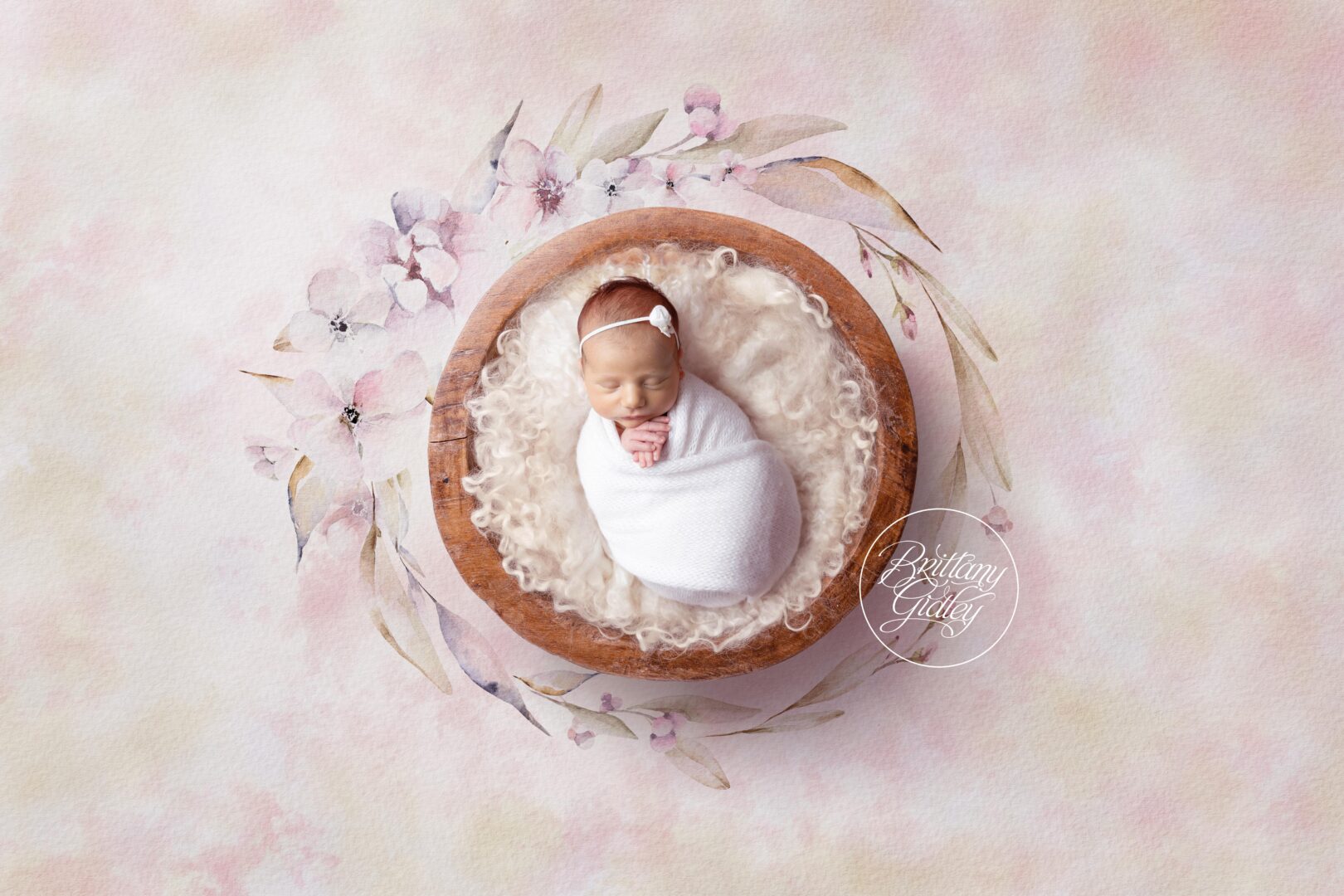 Erie Newborn Photography