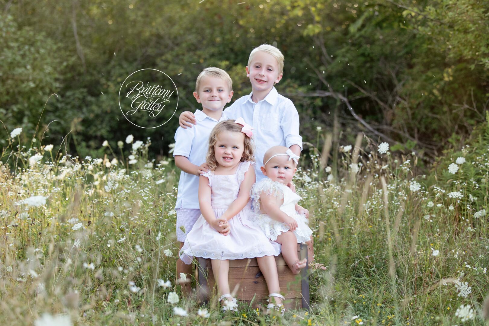 Family Photographer Akron Ohio | Bath Family Photographer