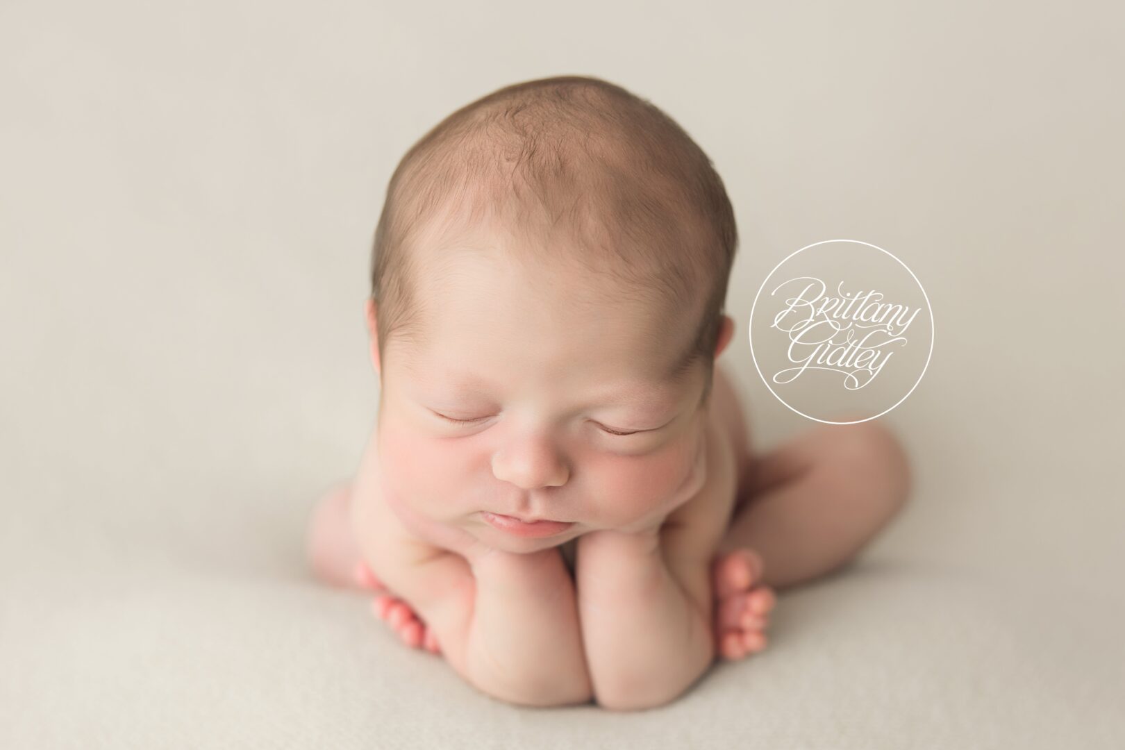 Newborn Photographer Cleveland Ohio