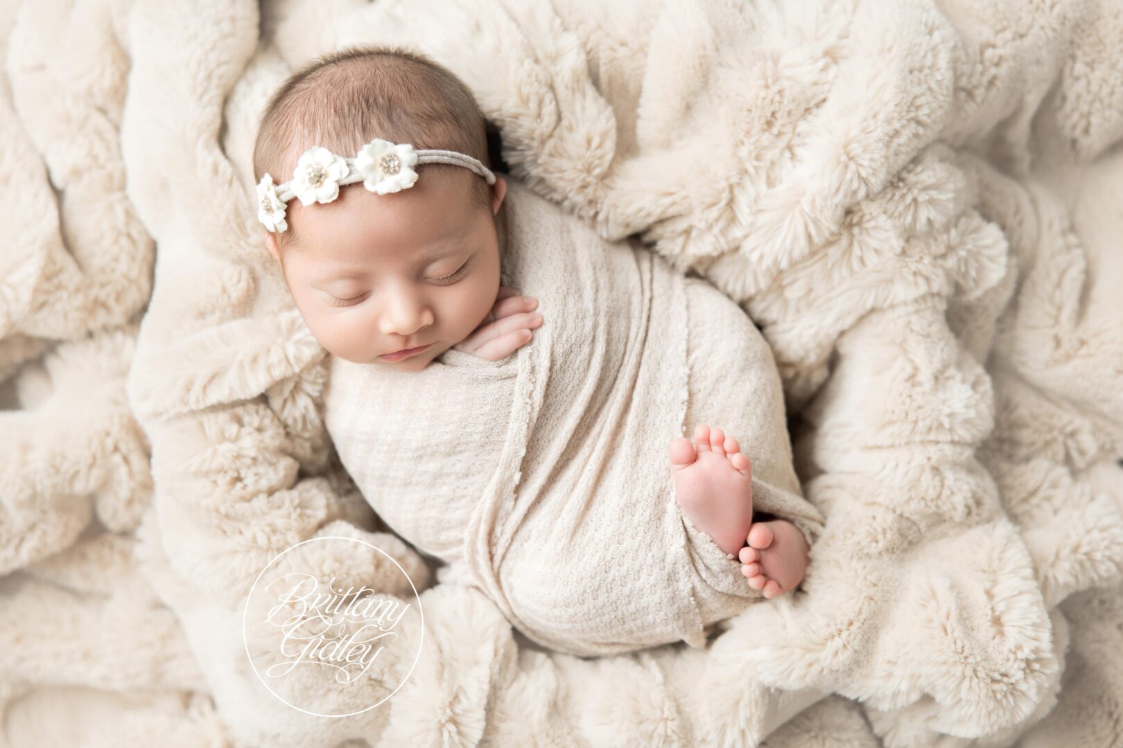 Photo Shoots Newborn Babies
