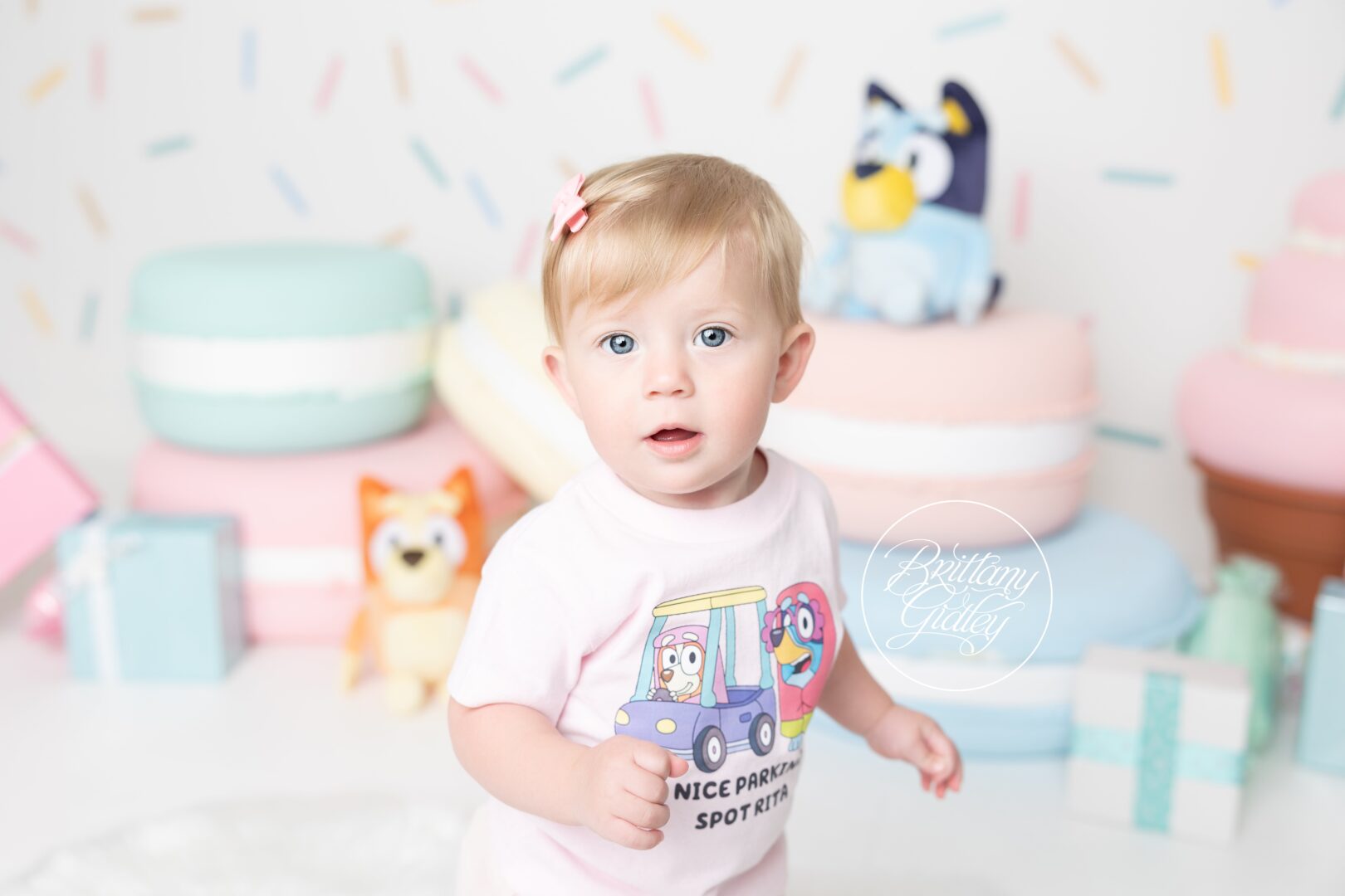 Bluey Cake Smash Photo Shoot