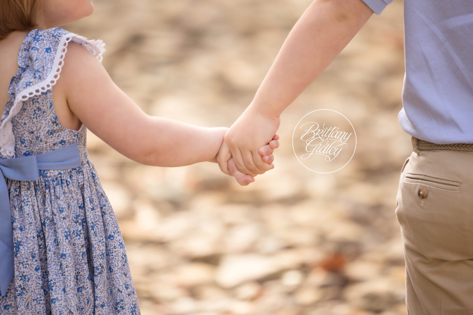 Siblings | Gates Mills Family Photography