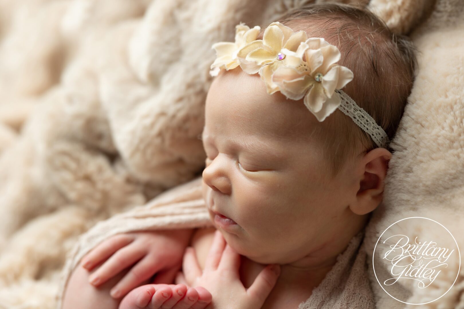 Sleepy Newborn Girl | Newborn Brecksville Photographer