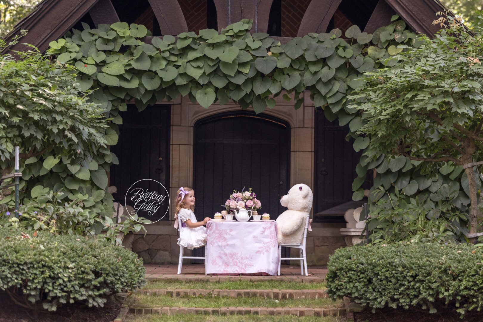 Tea Party With Bear | Tea Party Dream Session