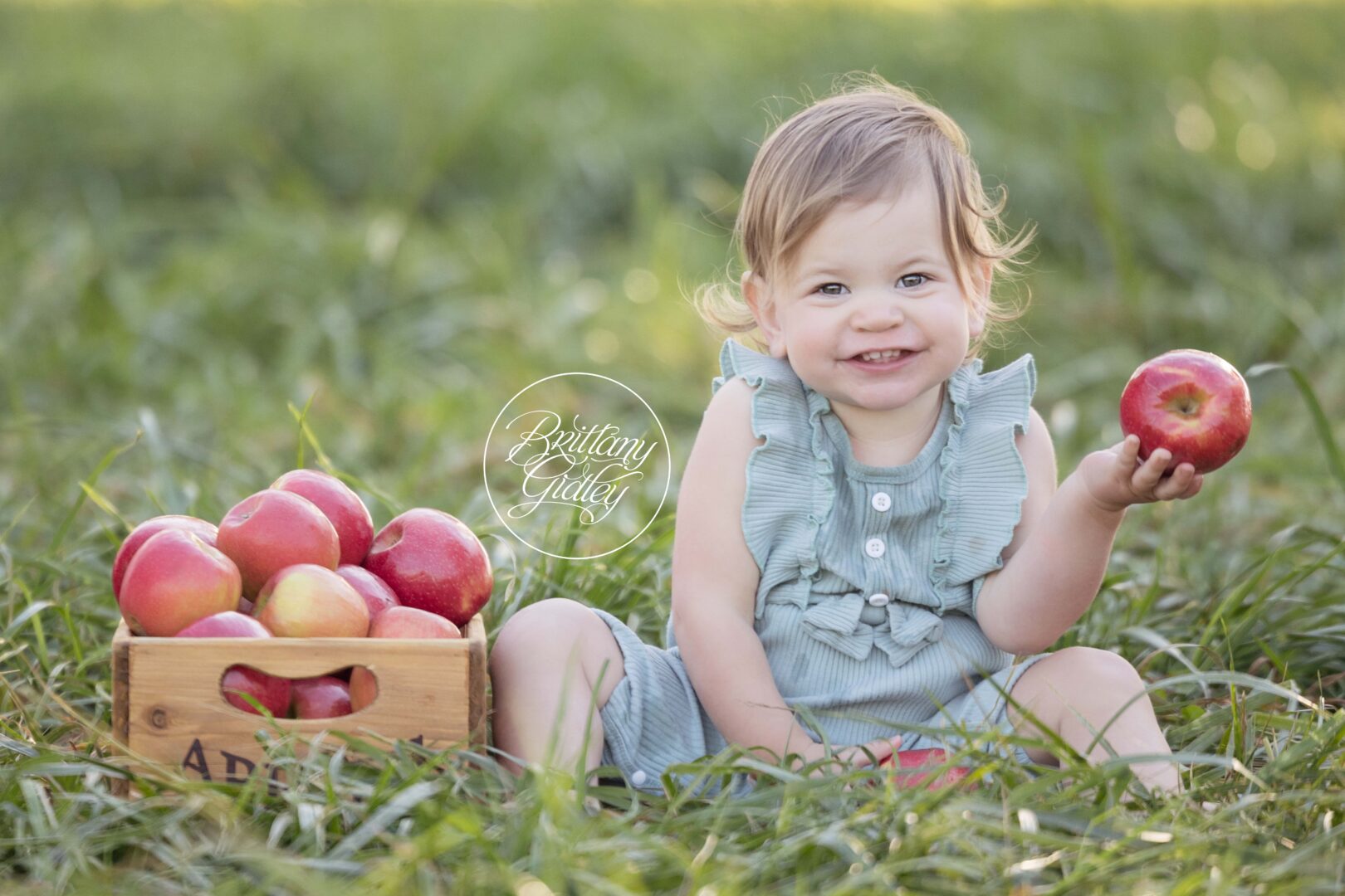 Baltimore Family Photographer