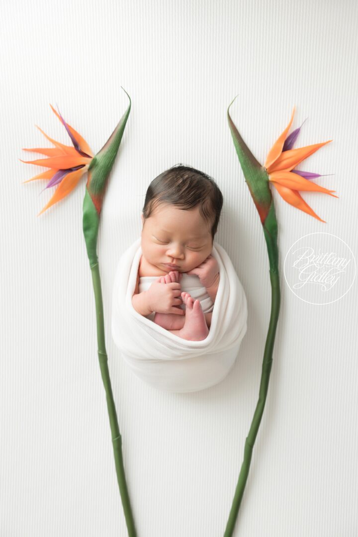 Hawaiian Baby Photo Shoot