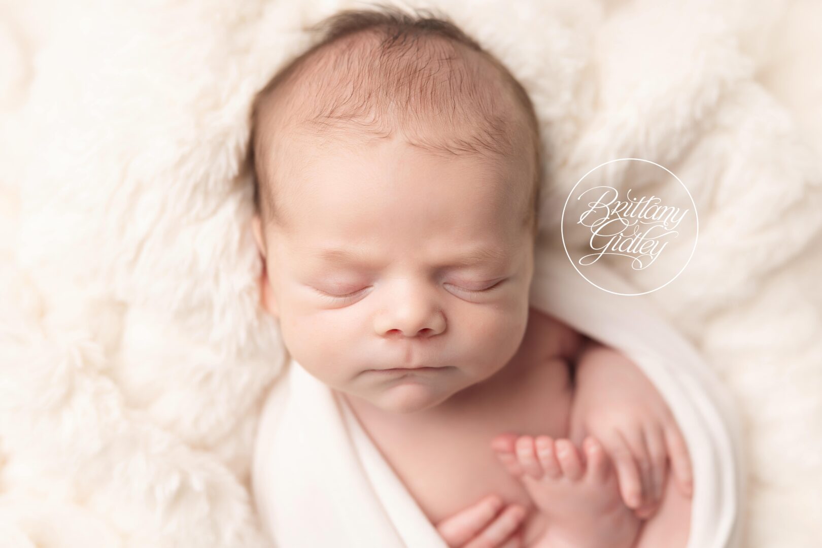 Newborn Baby Photographer